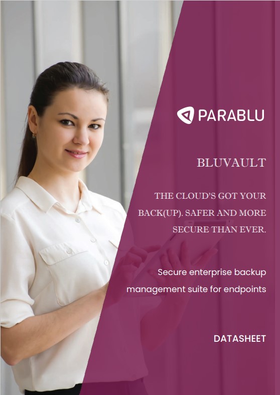 BluVault for Endpoints