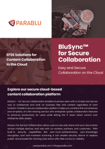 BluSync™ for Secure Collaboration