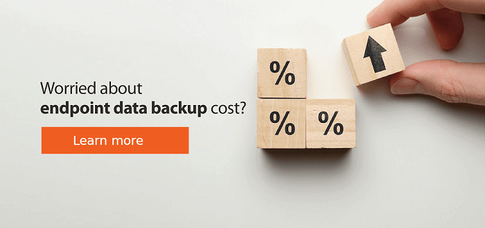 Data Backup Cost