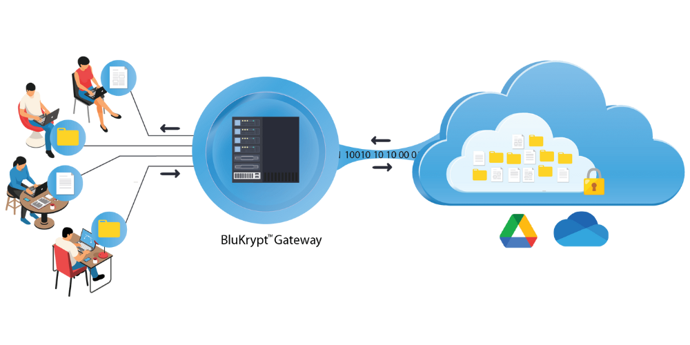 Blukrypt gateway