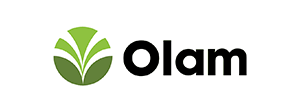 olam
